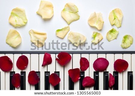 Piano keys with red and white rose flower petals, isolated, top view, copy space. Romantic concept. Piano or synthesizer keyboard. Classical music instrument for playing romantic music.