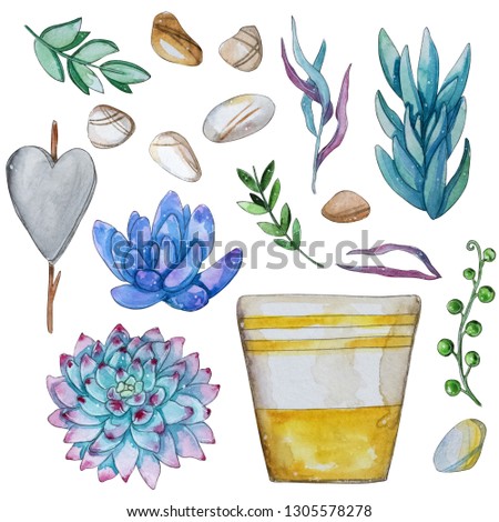 Watercolor handpainted set of cactus plant, pot and pebbles.Watercolor clipart,individual flower isolated on white background.Perfect for Your project,cover,wallpaper,pattern,gift paper,wedding