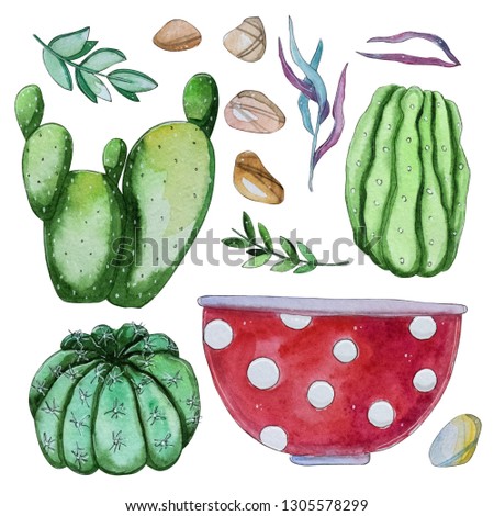 Watercolor handpainted set of cactus plant, pot and pebbles.Watercolor clipart,individual flower isolated on white background.Perfect for Your project,cover,wallpaper,pattern,gift paper,wedding