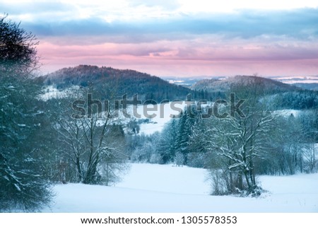 bavarian national park winter snow forest trees frost and sun landscape nature beauty