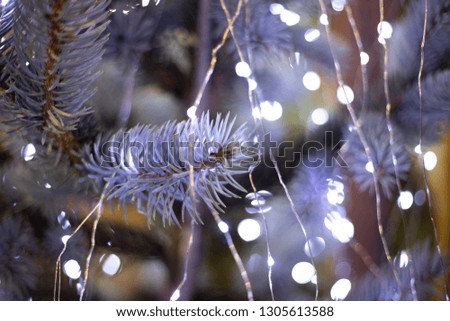 Christmas lights on purple tree