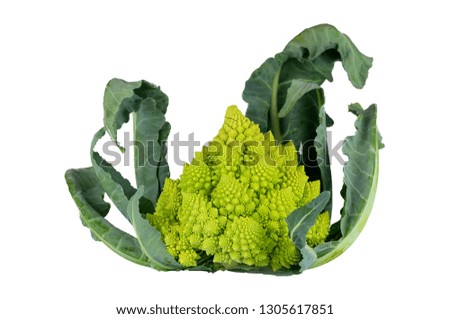 Isolated picture of special shape roman cauliflower (Brassica oleracera)
