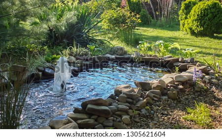 Beautiful small garden pond with a stone beach and a fountain against the background of an evergreen garden. In the pond with a stone coast is reflected blue sky. Summer joyful landscape.