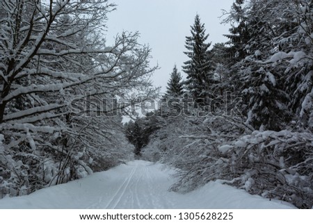 Ski run in winter snowy forest.Winter forest and ski landscape
