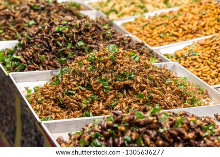 Various of fried insect in the street food market of Thailand 