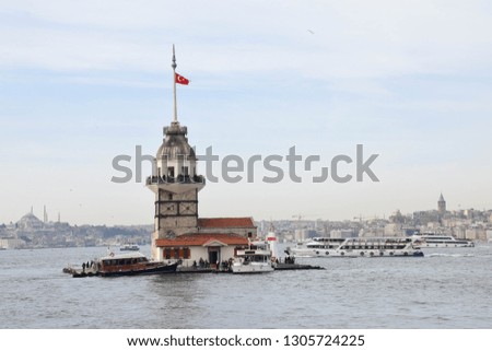 The most beautiful city of the east, an image from Istanbul. historic sites and seagulls