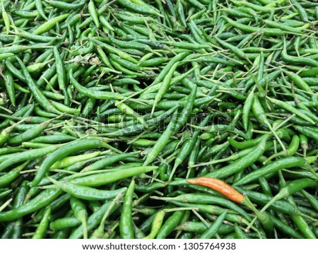 Pile of small green chilli. Full framing shot from top view