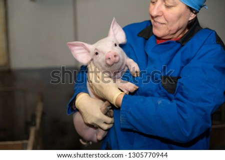Farmer holds piglets, woman an pig