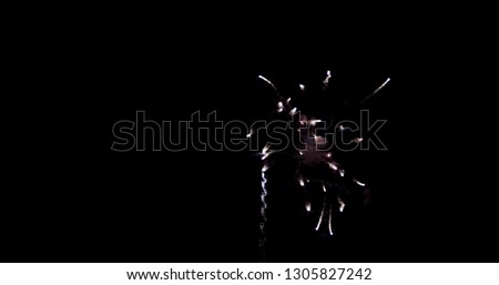 Real fireworks photo in the sky