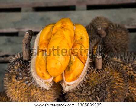 very nice picture of lai fruit / durio kutejensis / yellow durian , one kind of durian that originated from west kutai, indonesia.