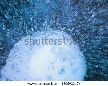Background texture of a frozen forest and lake at winter, aerial shot