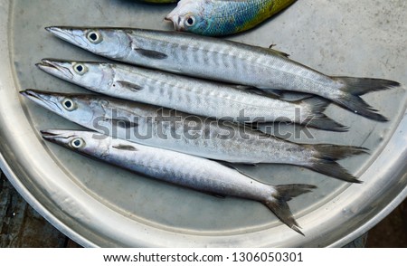 Barracuda fishes on the market in Ban Phe, Thailand waiting to be sold and cooked                   Royalty-Free Stock Photo #1306050301