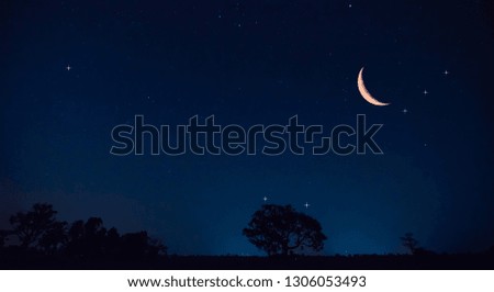 Panorama blue night sky milky way and star on dark background.Universe filled with stars, nebula and galaxy with noise and grain.Photo by long exposure and select white balance.Moon crescent.