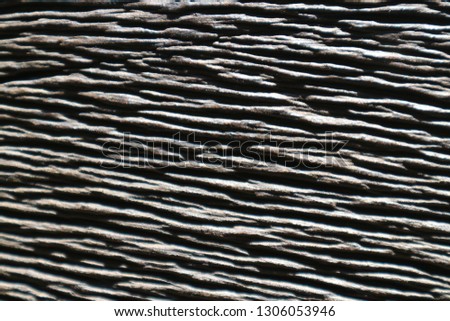 Seamless tree bark texture wooden background for graphic design.