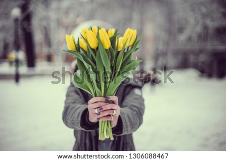 Yellow flowers tulips in the hands of a girl. Snow, winter landscape. Background to Valentine's Day and March 8th.  Royalty-Free Stock Photo #1306088467