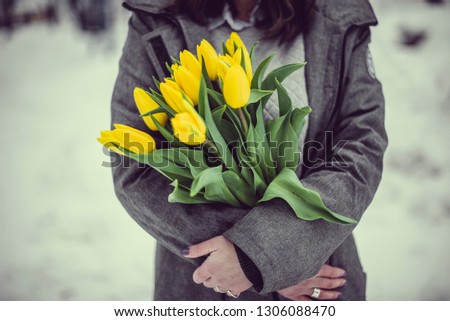 Yellow flowers tulips in the hands of a girl. Snow, winter landscape. Background to Valentine's Day and March 8th.  Royalty-Free Stock Photo #1306088470