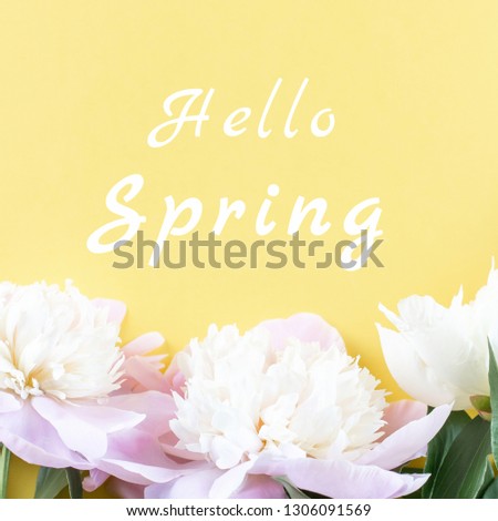 Hello Spring greeting card with pink peonies on bright yellow background