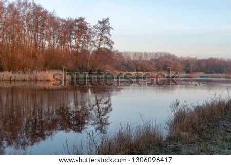 Frozen puddle in a forest with the silhouettes of bare trees in the winter that are lit by the rising sun.  
