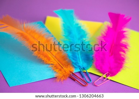 Clips feathers and envelopes on colored paper. Free space to write. Close-up. Concept Office
