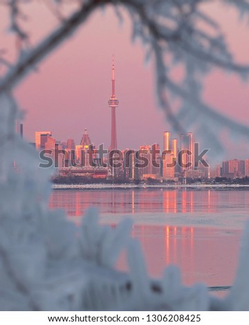 Toronto city skyline during Polar Vortex, colorful pink and orange sunset sky, frozen surface of Lake Ontario, sunset reflection. 
Frozen ice covered tree branches out focus in the foreground.