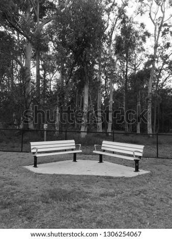 Metal bench seat surrounded by grass and tall gum trees, queensland, australia