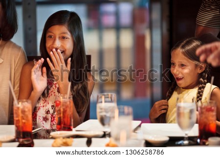 Two sisters at a teppanyaki restaurant.