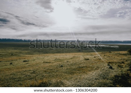 Landscape in Magadi volcano in Ngorongoro