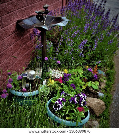 Summer flowers, lavender & pansies