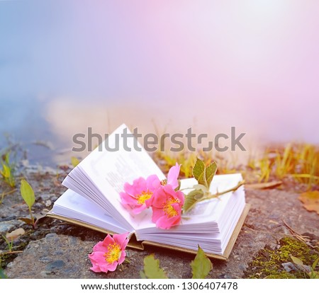 wild pink rose flowers and open book outdoor, abstract natural background. spring, summer season. relax and reading concept. copy space