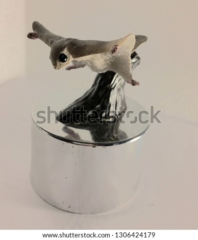 Flying squirrel model. Cartoon image of a white flying squirrel.