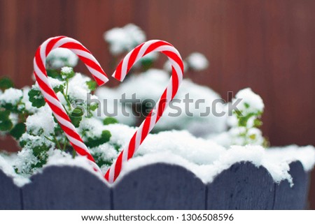 Two red and white striped candy canes forming the shape of a heart in front of snow covered plants
