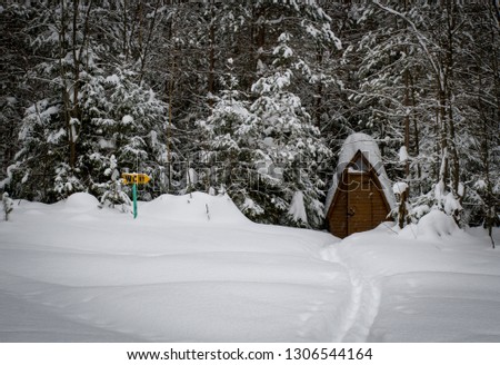 Toilet in the winter forest