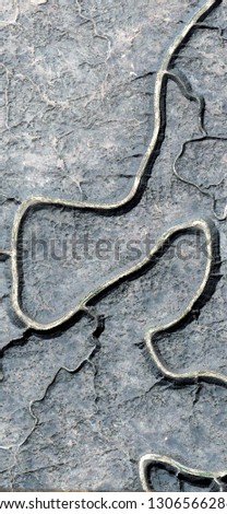 fossilized roots, tribute to Pollock, vertical abstract photography of the deserts of Africa from the air, aerial view, abstract expressionism, contemporary photographic art, abstract naturalism,