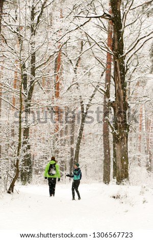 People walk in the woods in winter. Lots of snow, fabulous nature. Boy and girl Young couple Lovers walk in nature. Friends enjoy the beautiful pine forest.