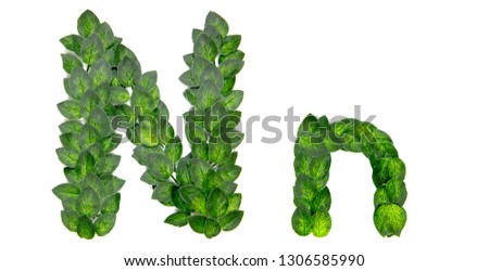 Letter N, English alphabet, made of green spring leaves. Isolated on white background. Concept: design, logo, word, text, title