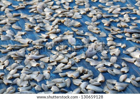 Dried fish of local food in Thailand