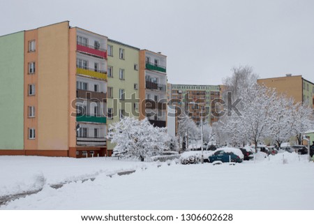 Winter in the city, snow fairy tale, snow cyclone, trees and cars in the snow, winter in Europe