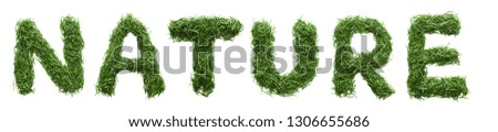 word nature, made of green grass, isolated on white background