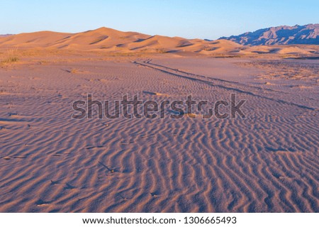 Mongolia. Sands Mongol Els at sunset. Gold hour.
