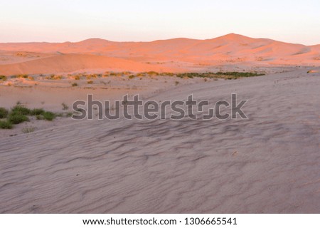 Mongolia. Sands Mongol Els at sunset. Gold hour.
