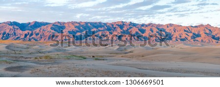 Mongolia. Sands Mongol Els at sunset. Gold hour. Panorama.
