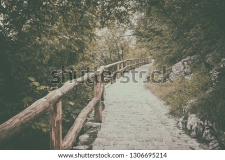 Tourist route in the forest, scenic nature hipster vintage background khaki color, Plitvice Lakes National park, Croatia
