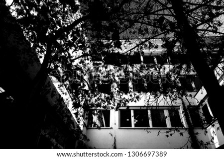modern residential and commercial building with a bare tree in black and White,