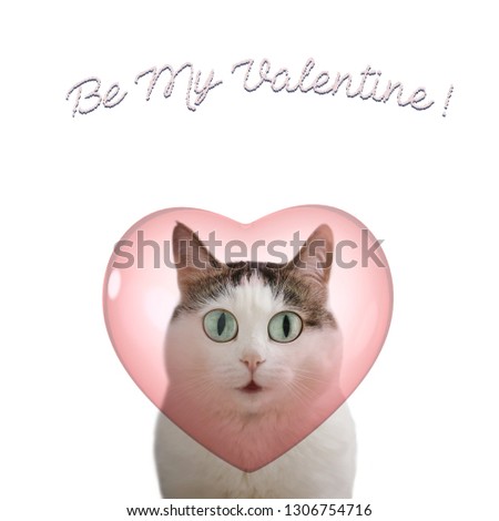 valentine's day card with funny cat and heart on white background with be my valentine inscription copy space