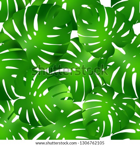 Seamless background with decorative Tropical palm leaves. Monstera. Realistic vector illustration. Can be used for wallpaper, textile, invitation card, wrapping, web page background.