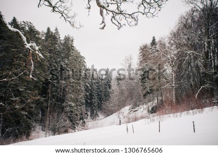 Winter in Latvian place called Kvepene