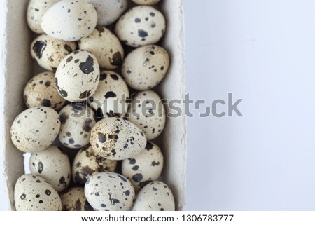 quail eggs isolated on white . agriculture. eggs background