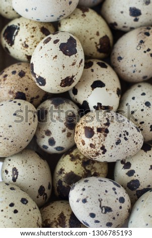 quail eggs . agriculture. eggs background . quail eggs postcard. quail eggs texture