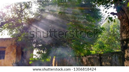 this is a picture of smoke and sunlight.