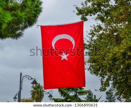 Turkish flag waving in the wind, with many trees at the public park in Istanbul, Turkey.
